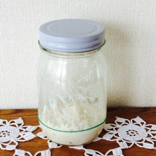 ヨーグルト酵母 元種 失敗