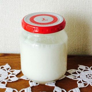 ヨーグルト酵母 12日目