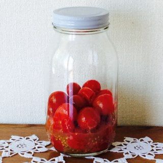 トマト酵母 1日目