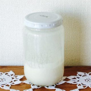 ヨーグルト酵母元種 8日目