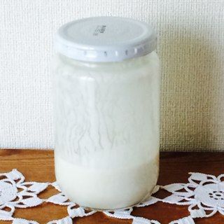 ヨーグルト酵母元種 7日目