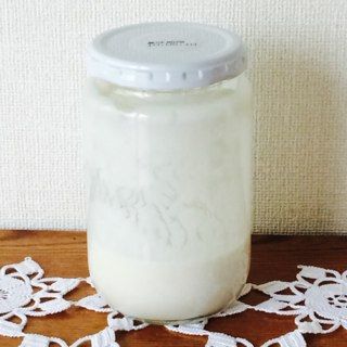 ヨーグルト酵母元種 4日目
