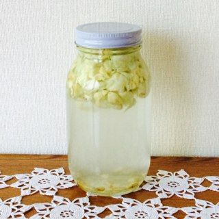 ゴーヤのわたと種で自家製酵母1