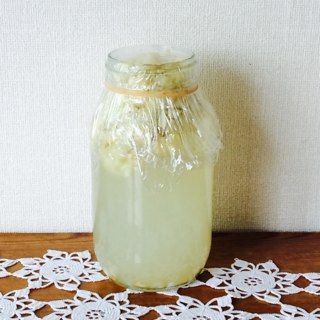 ゴーヤのわたと種で自家製酵母4