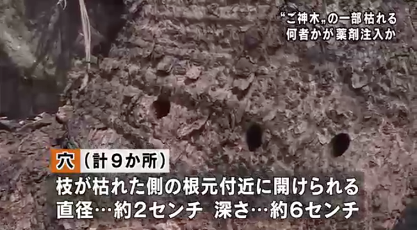 スクリーンショット 2018-08-20 1.02.43