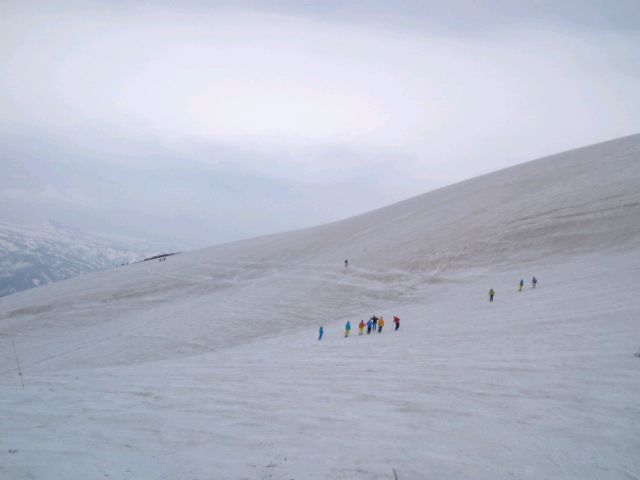 1a888f6c.jpg