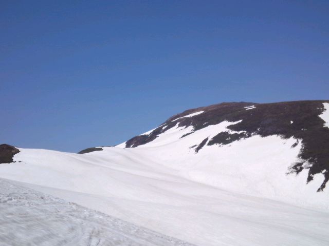 d8f36204.jpg