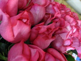 20100605_11