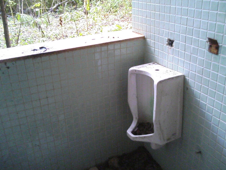 少便器
