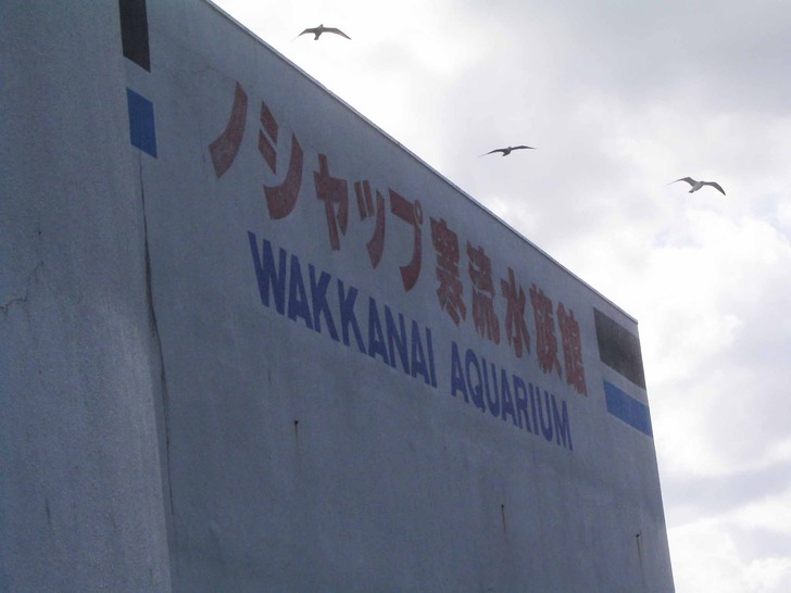 ノシャップ寒流水族館
