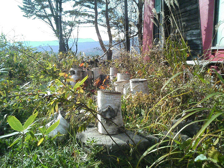 チニカ山荘 切り株