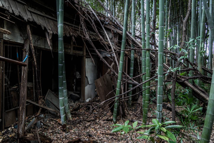 家主の家-2