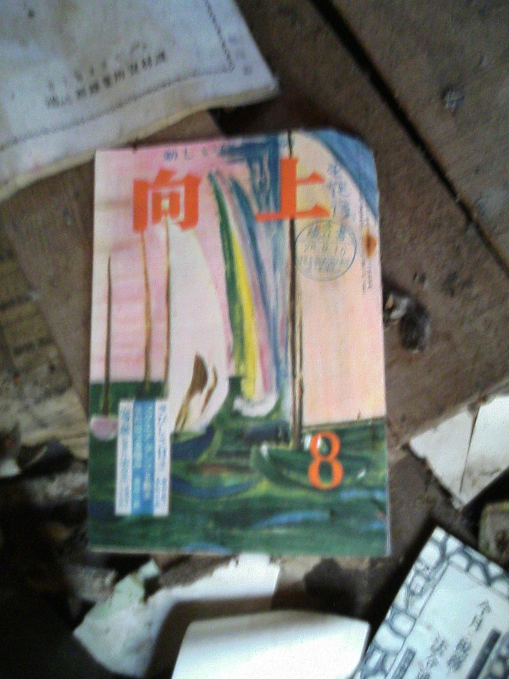 向上