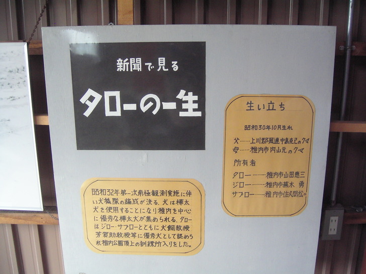 新聞でみる