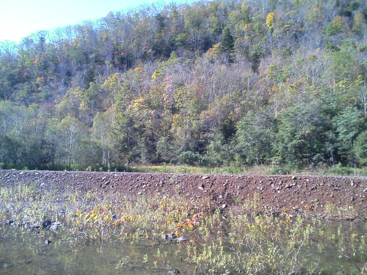 山
