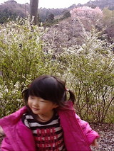 14f2b5f9.jpg