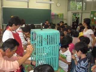20140628_キッズテニス_9