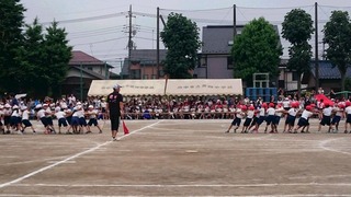 綱引き