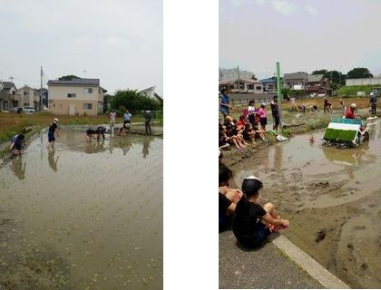 田植え体験_56