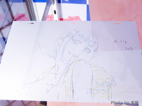 DSCN0677