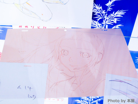 DSCN0678