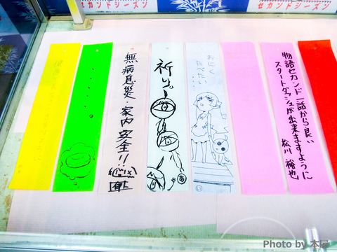 DSCN0661