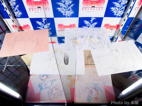 DSCN0681