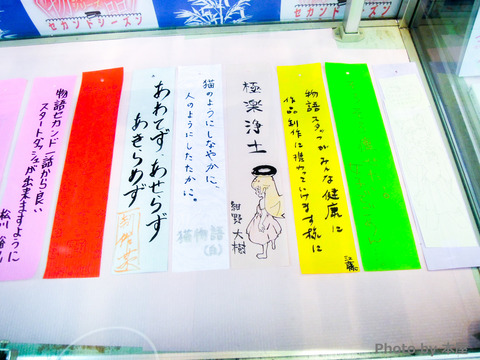 DSCN0662