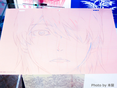 DSCN0683