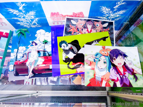 DSCN0713