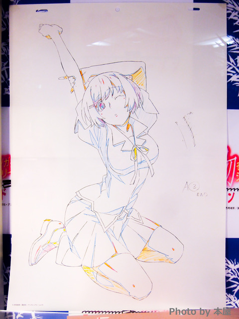 DSCN0674