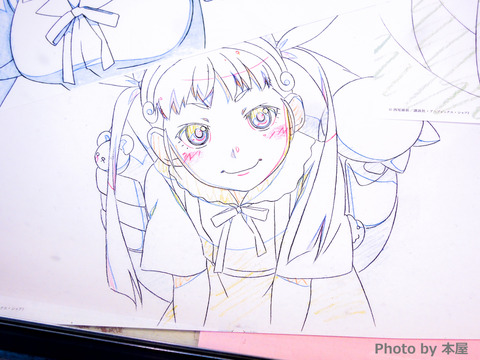 DSCN0694