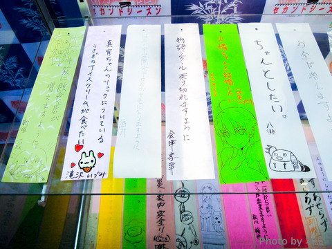 DSCN0659