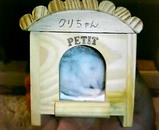 20080318