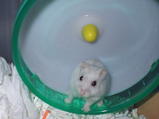 200710303