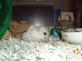 200802199