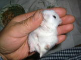 200802193