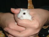 200802194