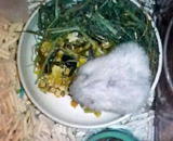 200803152