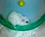 20080308