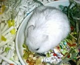 200803171