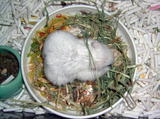 200802196