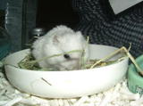 200802198