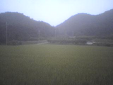 b7aeb76d.bmp