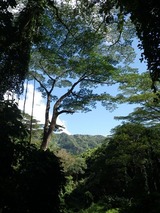 IMGP0240