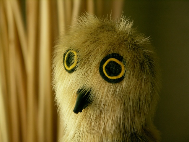 PICT0012