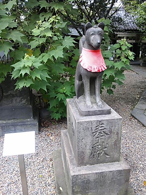 mimegurijinjya (6)