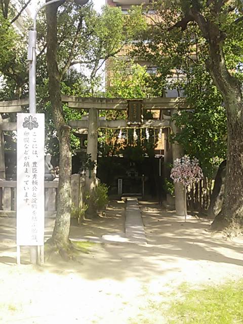 tamatukuriinari (7)