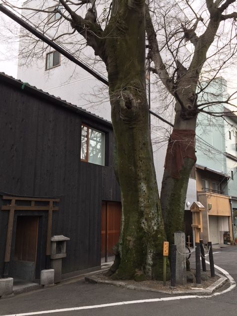 河原院跡 (8)