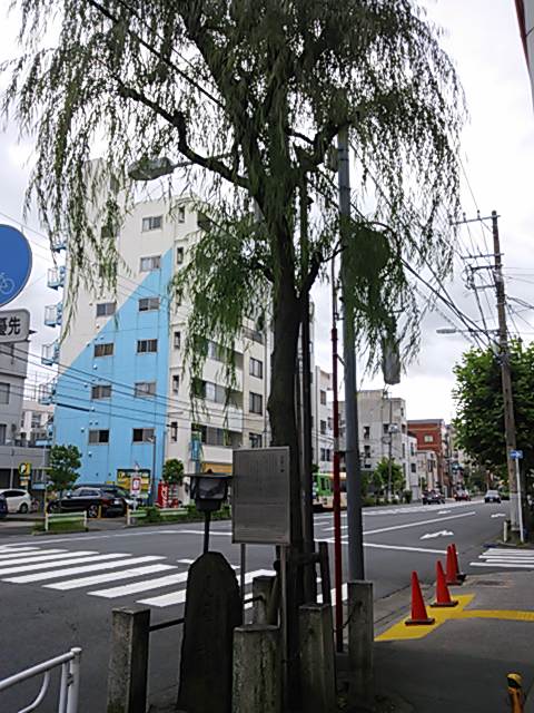 yanagi (1)